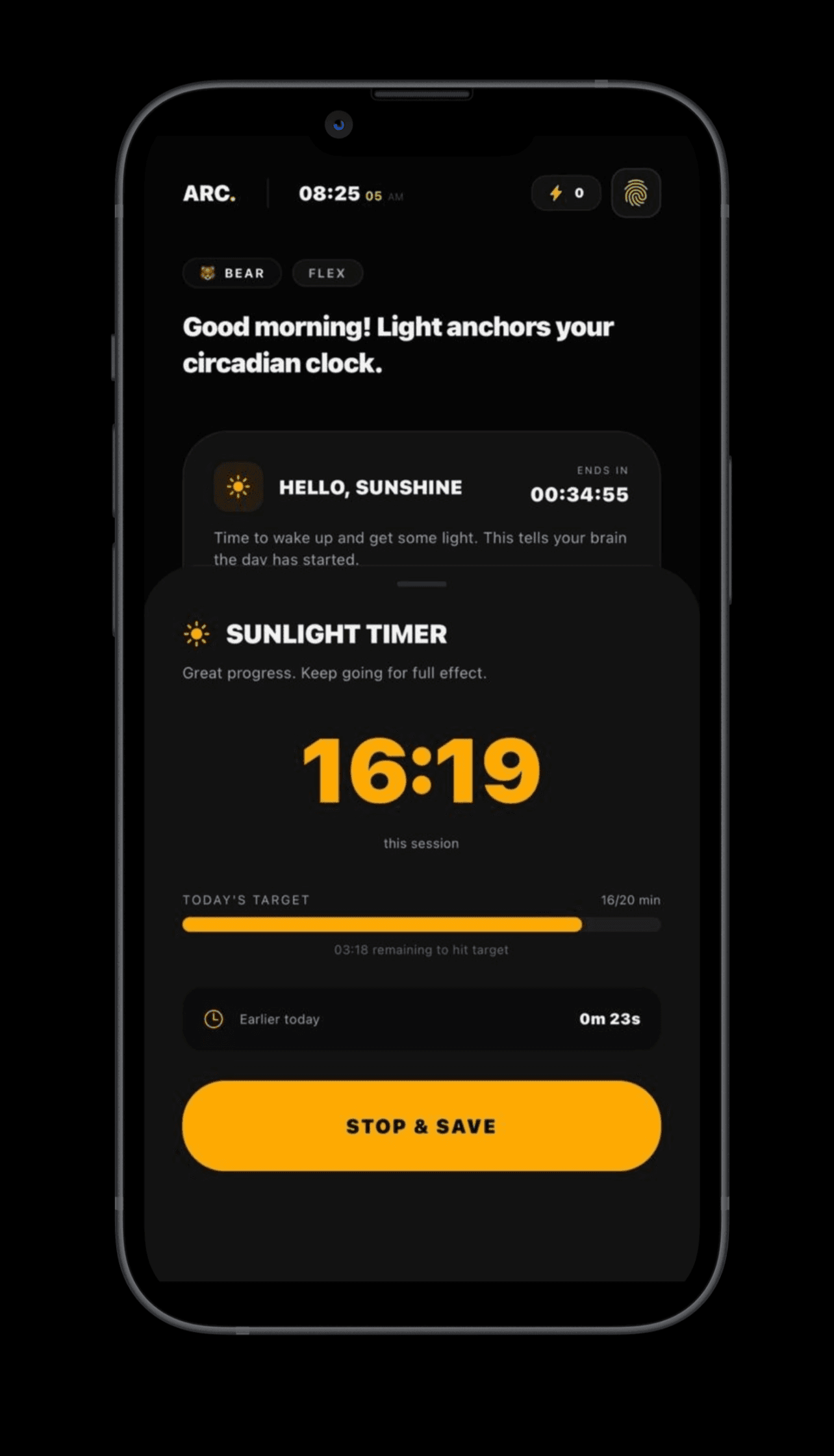 Catch the Morning Light — ARC sunlight timer with 16-minute countdown and progress ring